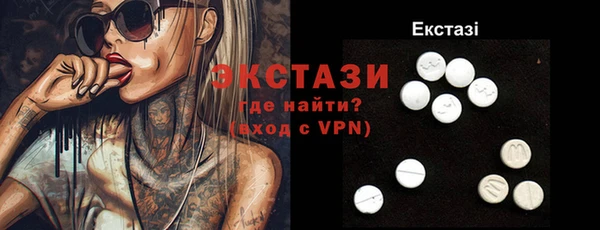 винт Ельня