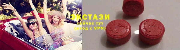 винт Ельня
