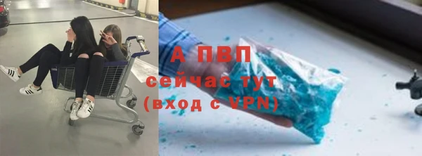 винт Ельня