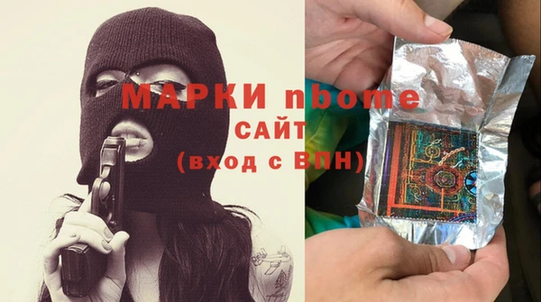 винт Ельня