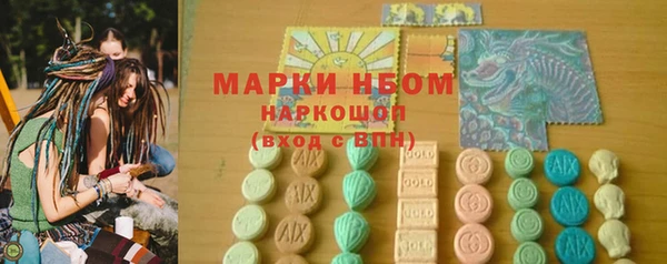винт Ельня