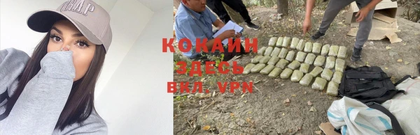 кокаин колумбия Елизово