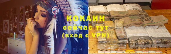 винт Ельня