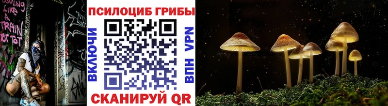 Купить закладки  Порхов  Галлюциногенные грибы мухоморы 