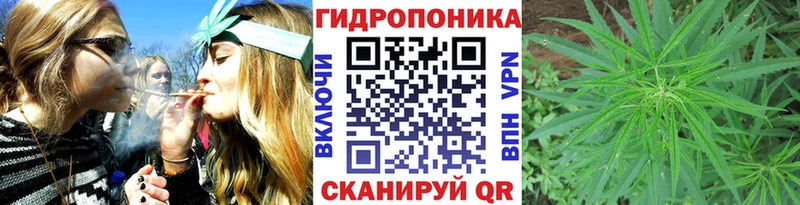 Купить где  Порхов  Бошки Шишки семена 